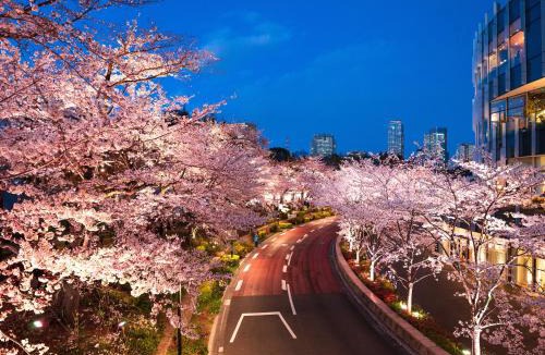 Akasaka Hotel | MIMARU Tokyo Akasaka