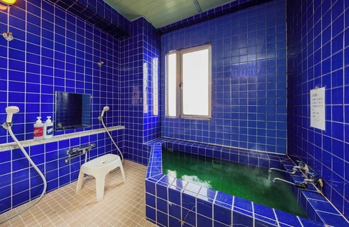 Oshu Hotel | Mizusawa Green Hotel