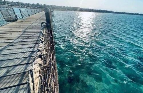Zafarana Apartment | Mohamed Afifi BlueBay Asia - Families - Ground 2 Bed Rooms