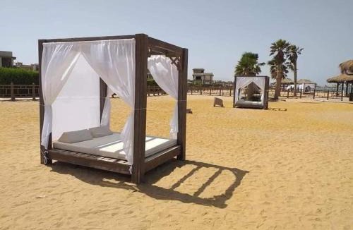 Zafarana Apartment | Mohamed Afifi BlueBay Asia - Families - Ground 2 Bed Rooms