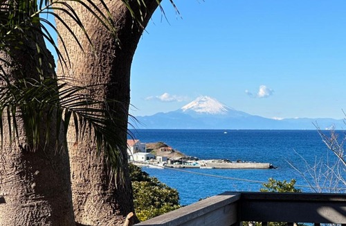 Tateyama Villa | Monterey House by SANA