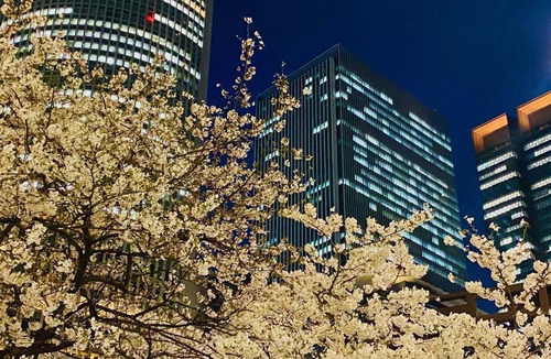 Meieki Hotel | Nagoya JR Gate Tower Hotel