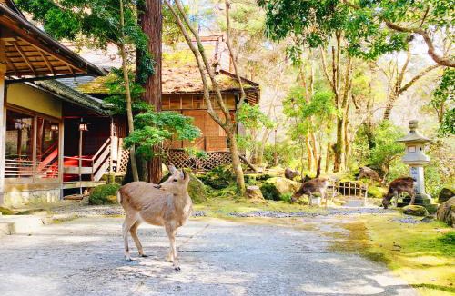 Nara Hotel | Nara Kasugaokuyama Tsukihitei