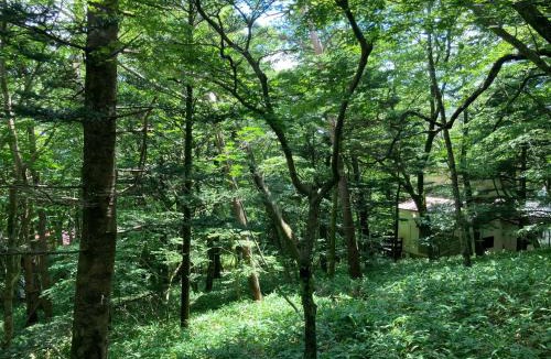 Nasu House | Nasu Cottage58 -那須 コテージ58-