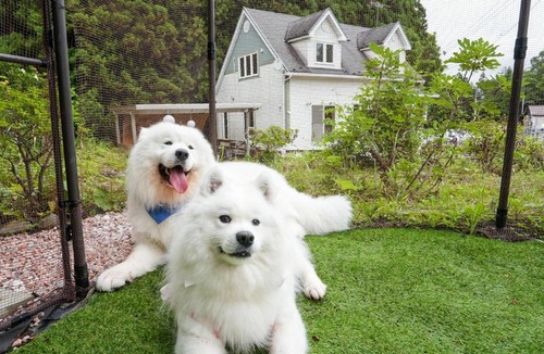 Yaita House | NASU GARDEN COTTAGE - 大型犬可&ドッグラン 屋根付bbq