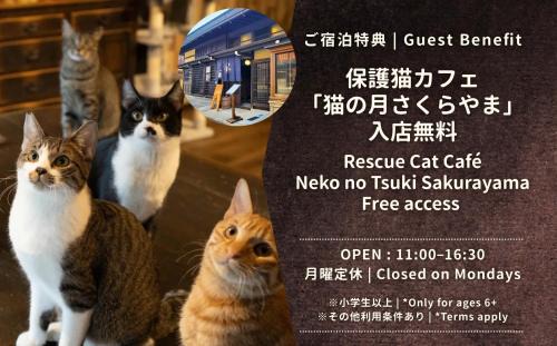 Old Town House | NEKO no TSUKI