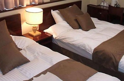 Misasa-cho Hotel | New Business Hotel Alpha
