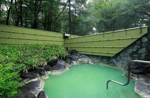 Nikko Hotel | Nikko Astraea Hotel