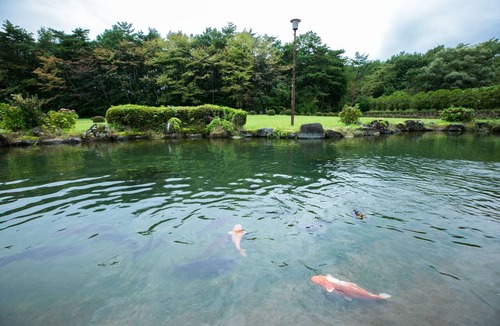 Nikko Hotel | Nikko Toshogu Koyoen