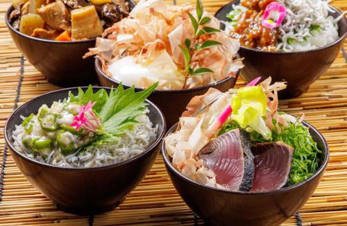 Ryuga Onsen Hotel | Nishitetsu Inn Kochi Harimayabashi
