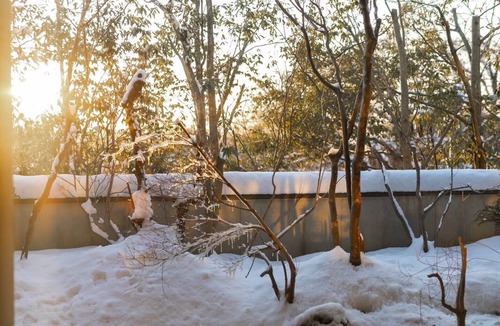 Hoki-cho Hotel | Nomado Hotel Daisen