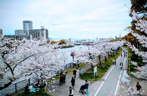 Miyakojima Apartment | O's Apartment Hotel In Kyobashi 3FB