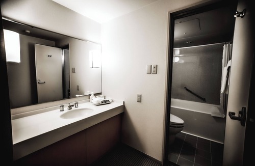 Toyama Hotel | Oarks canal park hotel Toyama