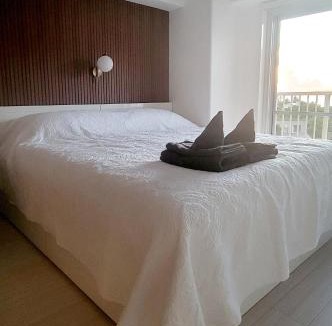 Maeganeku Apartment | Ocean View! King-size Bed! 2min to the Beach!