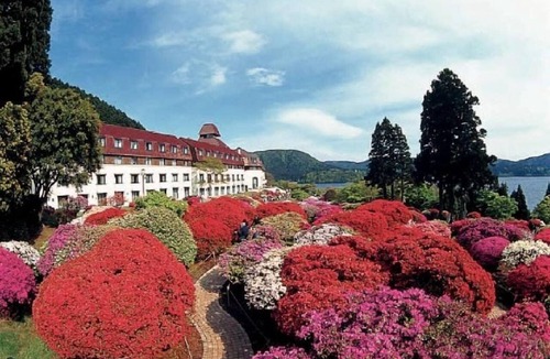 Hakone Hotel | Odakyu Hotel de Yama