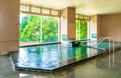 Gero Onsen House | Oedo Onsen Monogatari Gero Shinkan