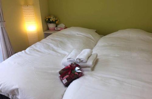 Adachi Apartment | Ogi-Ohashi Apartment