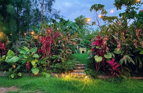 Nakama Cottage | Okinawa starry forest cottage