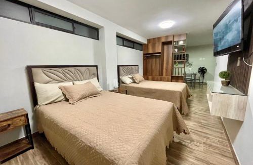 Tacna Apartment | Olive Loft - Local Sensory and Boutique Experience