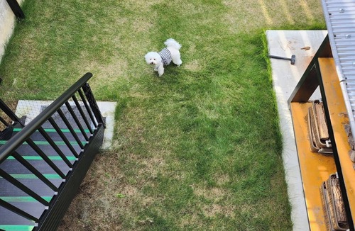 Shikokuchuo RV Rental | One small or mediumsized dog allowed Trailer ho/Shikokuchuo City Ehime