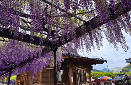 Kurogi Hotel | ootaryokan
