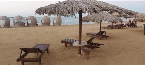Al Ahyaa Hotel | Palma resort send what's