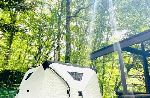 Tsumagoi House | -PaprumBase北軽井沢- 高台に佇む一軒家貸別荘とテントサウナ11名まで可
