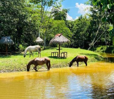 Punchana Cabin | Paradise Green Club