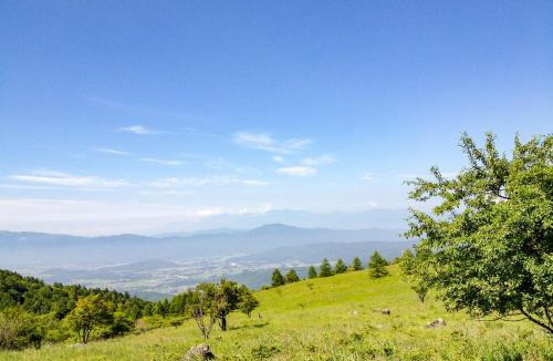 Tateshina Bed & Breakfast | Pension Wildflowers