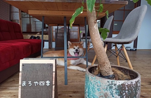 Ozu House | Petonly plan Rental villa in the middle of the /Ozu Ehime