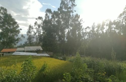 Independencia House | Pitec Hostel Lodge