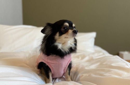 Kitahorie Hotel | Private room Dog friendly triple room Bath /Osaka Ōsaka