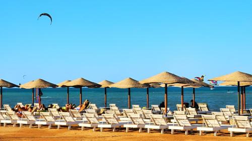 Al Ahyaa Resort | Queen T Suites All inclusive resort