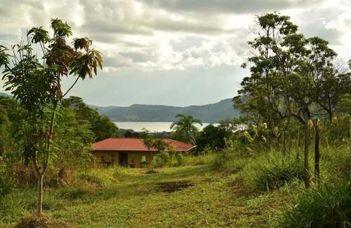 Sauce Cabin | Refugio natural con vista a la Laguna Azul