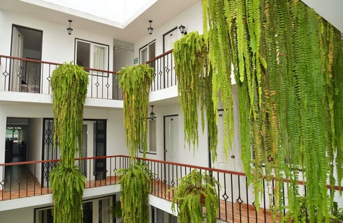 Surquillo Bed & Breakfast | Residencial Carlos