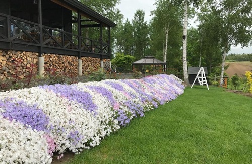 Biei House | Ritz Garden Niji