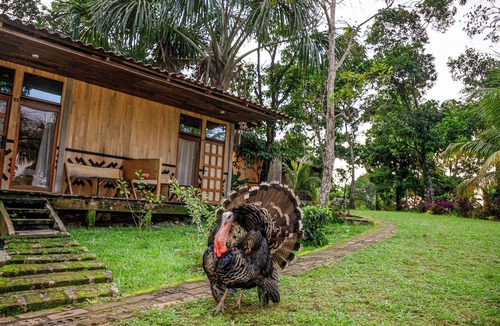 Iquitos Cabin | Room—the perfect place to relax, surrounded by nature