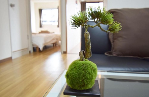 Kamiikebukuro Apartment | Royal Tokyo 802