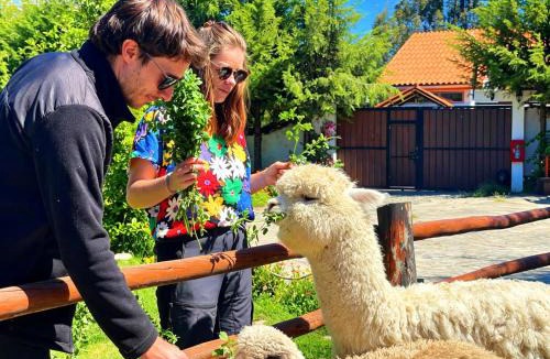 Acopampa Hostel | Runaway Hotel