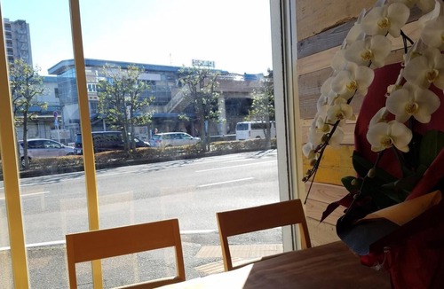 Fuji Hostel | Running Bare Fuji - Hostel