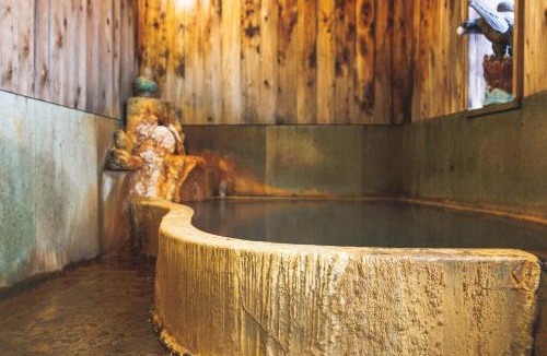 Yuzako Onsen Hotel | Ryokan Masuya