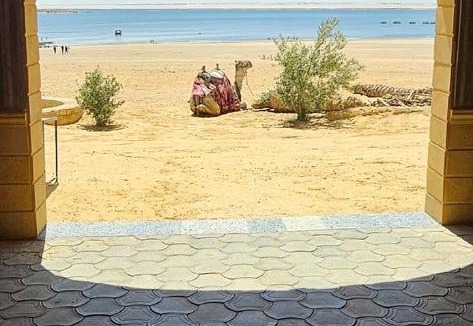 Al Fayoum Resort | safarova tours