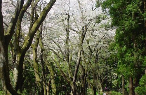 Sakihana Onsen House | Sakihana Hot Spring Suigyokunoyu Satorikan