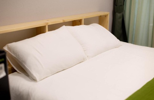 Kitakoiwa Apartment | SAKURA House 2B 30sec near the station