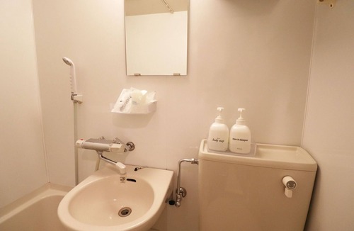 Kabukicho Hotel | semi double room /Shinjuku-ku Tokyo