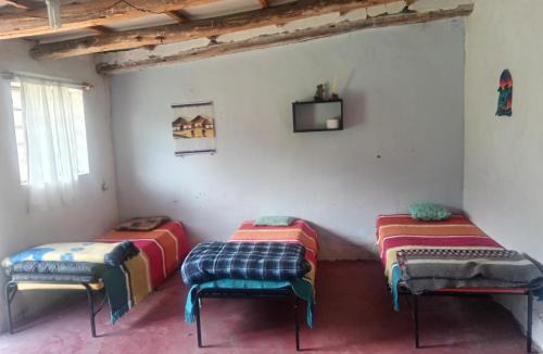 Santa Cruz Cabin | Shendao Eco Salud
