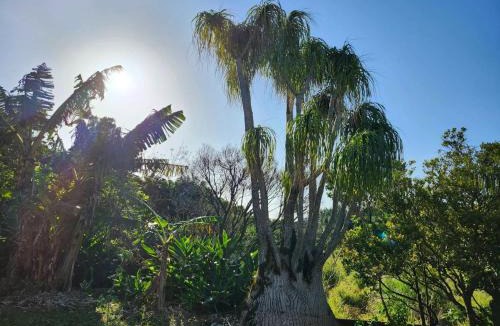 Nagura House | Shima-Asana, Private Yoga Retreat - Vacation STAY 89420v
