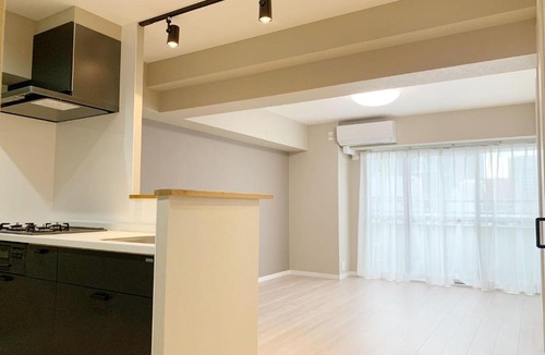 Kabukicho Apartment | Shinjuku Kabukicho#新宿歌舞伎町 地铁步行3分#2卧室新装修#高速网络#智能马桶#干湿分离1XX1BK