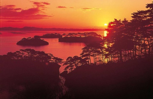 Matsushima House | Shintomi-tei
