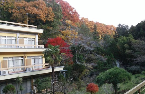 Iwaki House | Shiratori Onsen Harukiya Ryokan